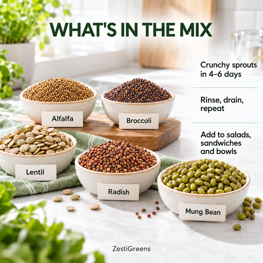 Mixed Sprouting Seeds Organic