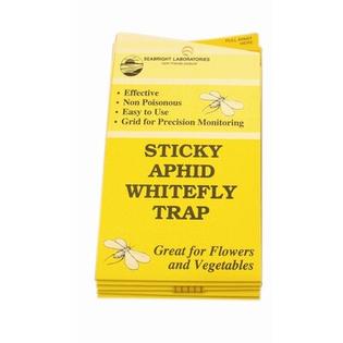 White Fly Trap, 5-Pack