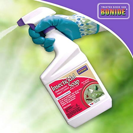 Bonide ready-to-use insect soap, quart spray bottle, front label